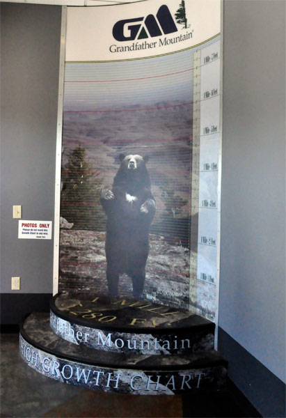 Grandfather Mountain growth chart